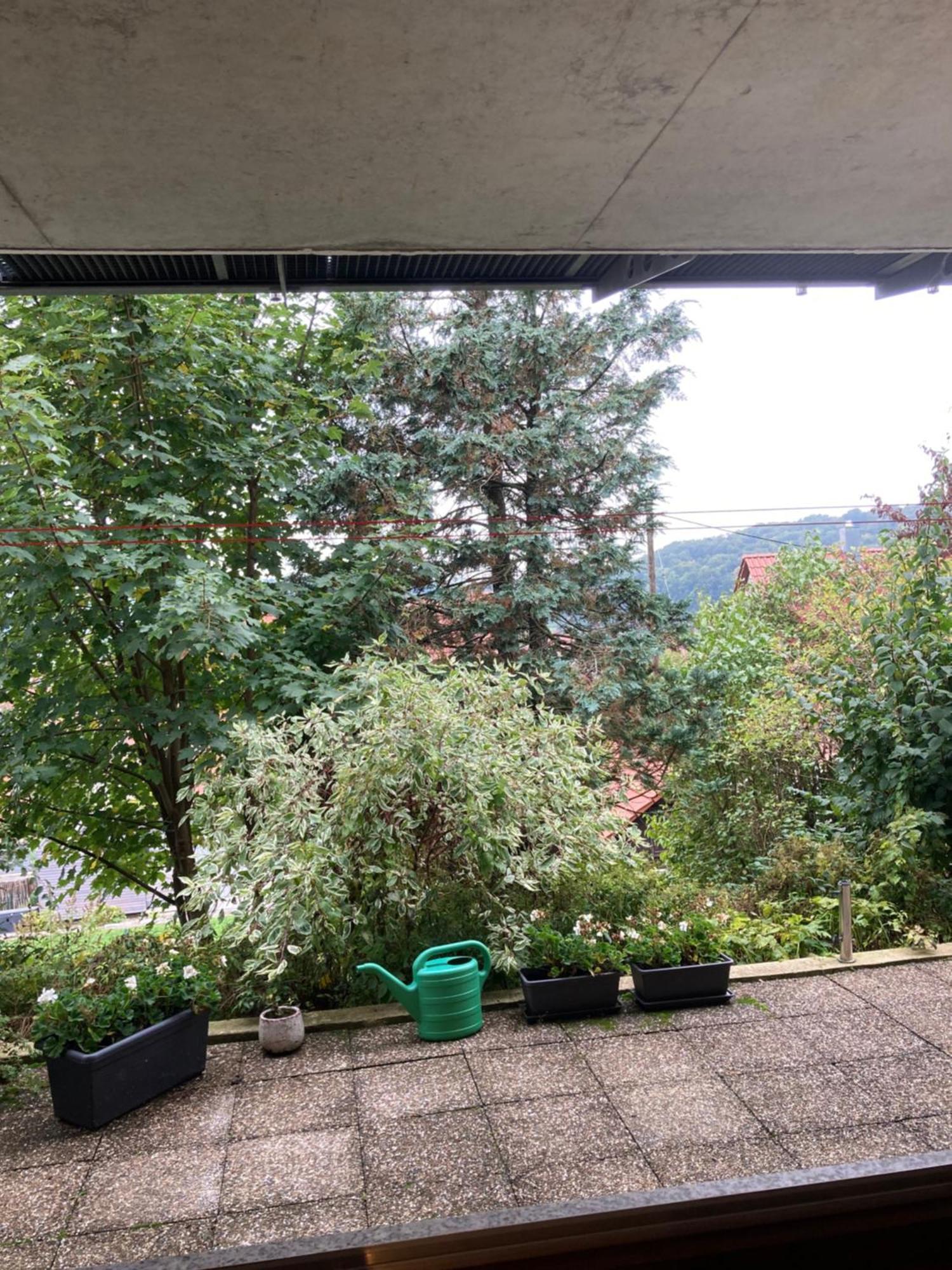 Lichtdurchflutete Ferienwohnung Санкт-Йохан Экстерьер фото